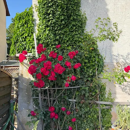 Luxurioeses In Fulda, Ruhige Lage, Garten, 3 Schlafzimmer, Bis 8 Gaeste דירה *
