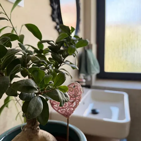 Luxurioeses In Fulda, Ruhige Lage, Garten, 3 Schlafzimmer, Bis 8 Gaeste *